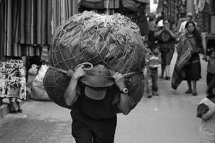 I need help with this 1