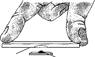 BIOLOGY LAB REPORT 3