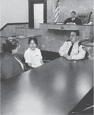 Juvenile Justice System Paper 20