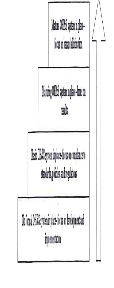 Safety Management Systems - Discussion and two essays 3