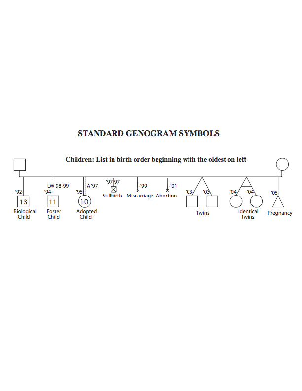 Case Conceptualization Genogram 2