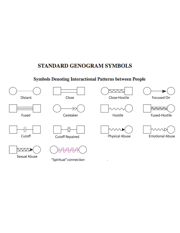 Case Conceptualization Genogram 6