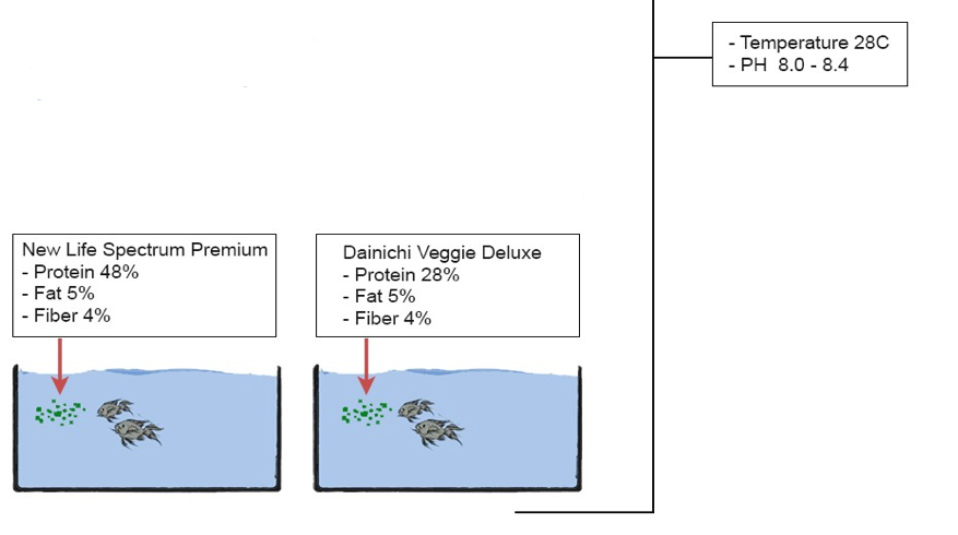FIx my report ASAP ( 12 hours) 1