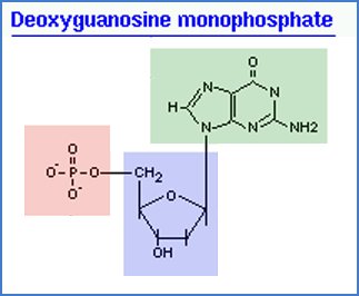 Biology assistance needed ASAP 2