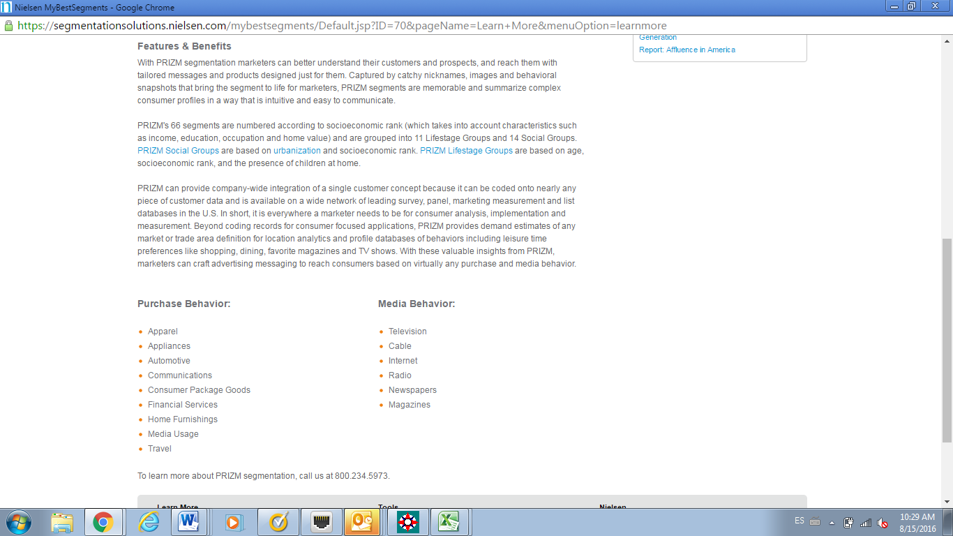 Nielsen Segmentation Methodology, written analysis help 4