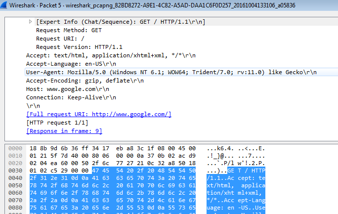 networking and wireshark app, computer science assignment help 8