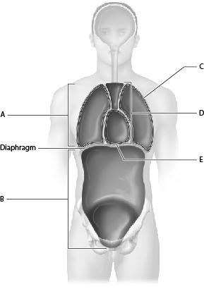   we have taken ( Legal, Regulations, Investigations, and Compliance)   an in depth look at legal issues as they relate to  Information Security. What are some of the key aspects that you have  learne 5
