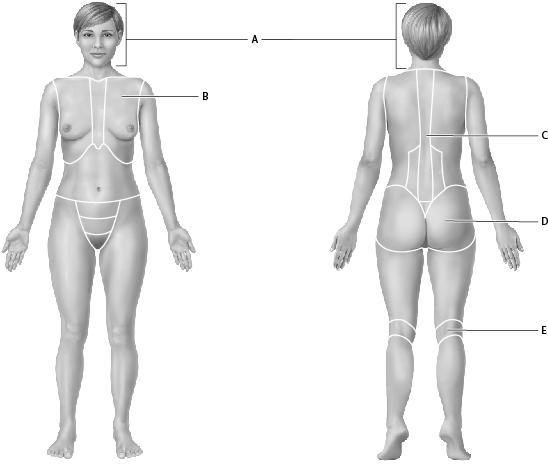 Write a reflection piece in which you discuss the ways in which all  of your past work experiences have shaped who you are today, preparing  you for your educational and/or career plans. Be sure to in 3