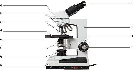 hoose from the following topics: Psychologists' involvement in military interrogations  Psychologists' involvement in assessments related to death penalty casesIn 1,000-1,250 words, consider the follo 1