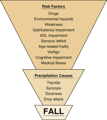 Topic: Falls & Fall Risk Reduction. Answer the Question(s) completely.  1. Mention and discuss Fall Risk Assessment Instruments (mention at least 3).  2. Signs and symptoms of traumatic brain injury i 1
