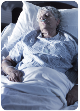 PSYC290N - Lifespan Development REFLECTION ASSIGNMENT Required Resources Read/review the following resources for this activity: Textbook: Chapter 20 (Attached below with APA formatted book reference f 8