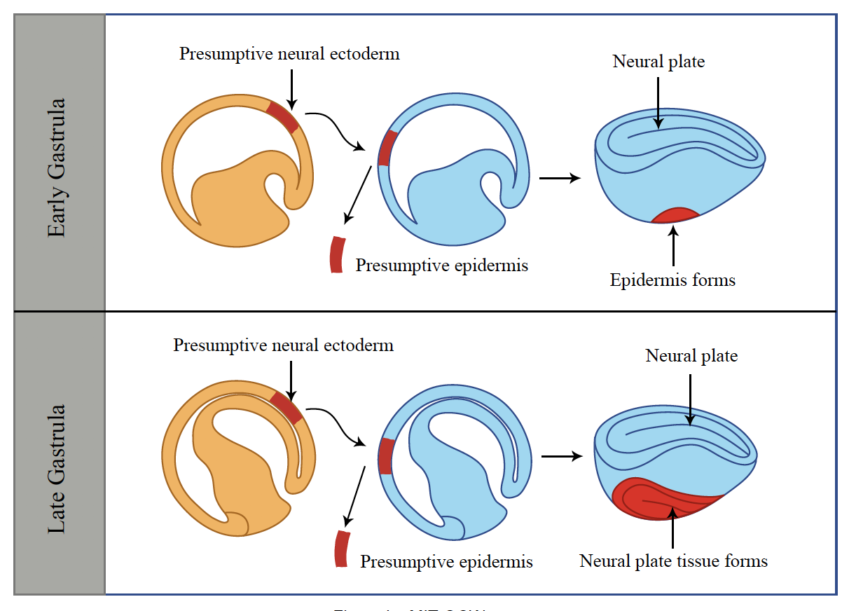 Question attached as a file 1