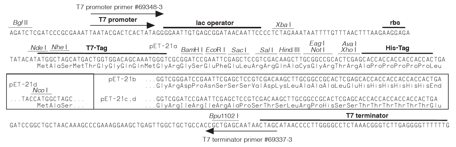 Can anyone work on this? 1