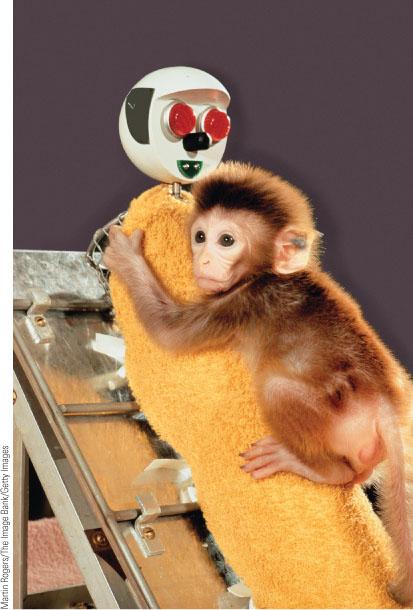 Unit 2.1 DB: Gender Identity Discuss gender identity and how society has evolved over the past decade in their interpretations. Within this discussion be sure to include how sex/gender differ and soci 2