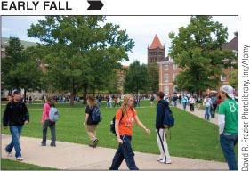 Unit 2.1 DB: Gender Identity Discuss gender identity and how society has evolved over the past decade in their interpretations. Within this discussion be sure to include how sex/gender differ and soci 18