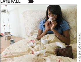 Unit 2.1 DB: Gender Identity Discuss gender identity and how society has evolved over the past decade in their interpretations. Within this discussion be sure to include how sex/gender differ and soci 20