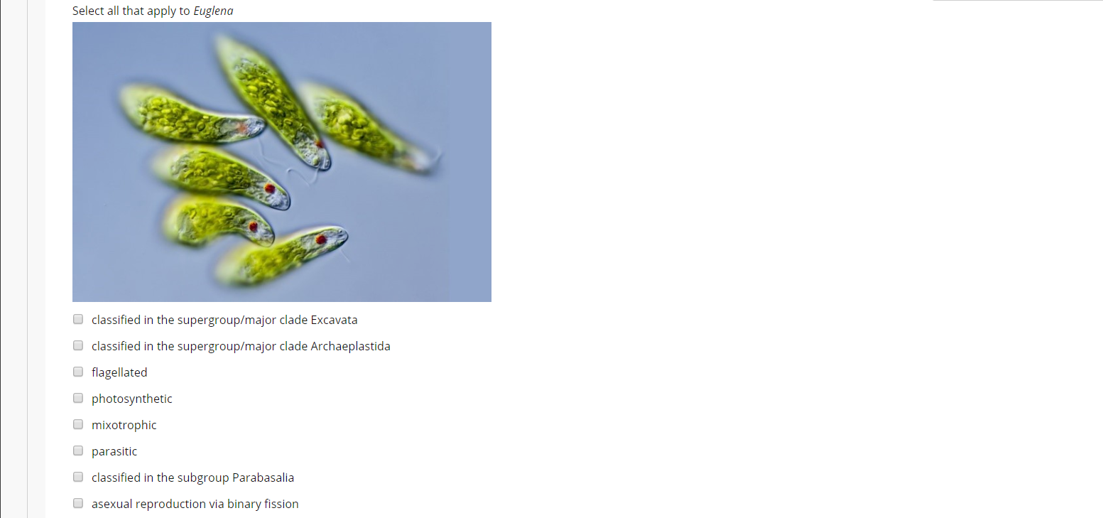 I have 10 questions, MCQ and Fill in the blank. biology lab 2