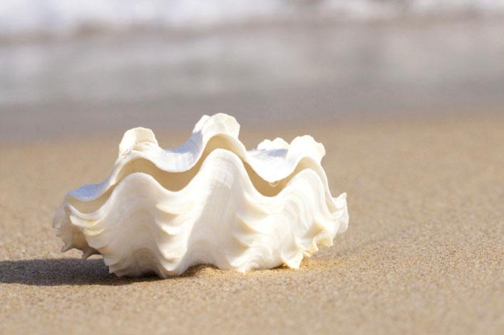 Have you ever been on a tour of a historical site? Or maybe a historical tour of a city? Imagine you are a tour guide, taking someone on a tour of East Asia. Where would you go? What would you see? Wh 3