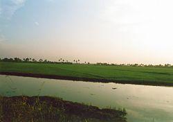 Students will be required to submit five written assignments in a WORD or pdf document, each  3 pages long, single-spaced, font 12, Times New Roman.  A fourth page should list the references cited in 7