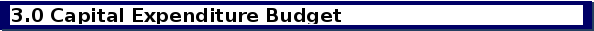 Week 6 Project Activity: Pro Forma Cash Budget (Draft)Use the Budget Proposal Workbook.xlsx and Budget Proposal Template.docx to develop pro forma cash budgets for the new business. You will be graded 3