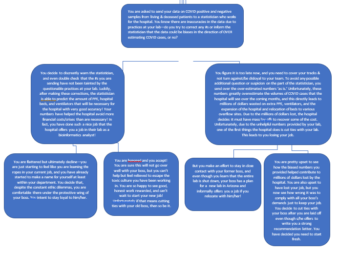 we need to build a story for this assignment for the purpose of reference. I have attached the backstory and our part of the work is chapter 2 which you can find in the flow chart. The flow chart has 4