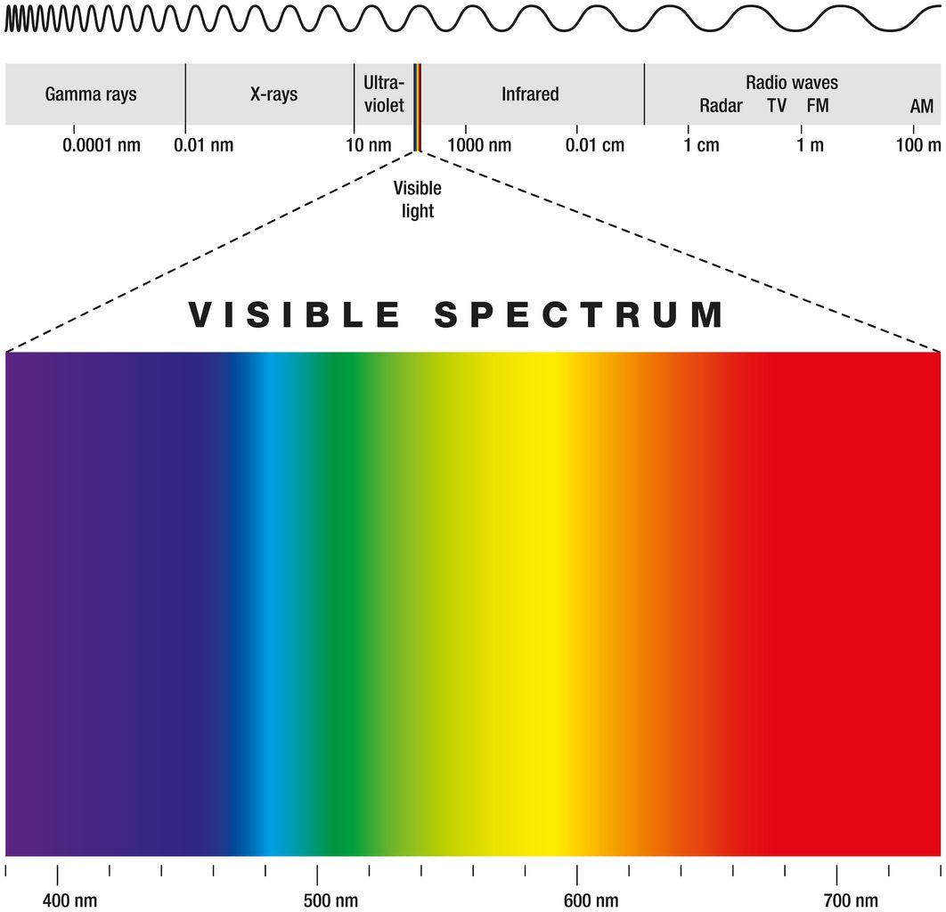 . Processes in perception. ASSIGNMENT 300 WORDS MINIMUM After watching the two videos below, discuss the role of higher-level or “cognitive” processes in perception. Then describe a situation in which 3