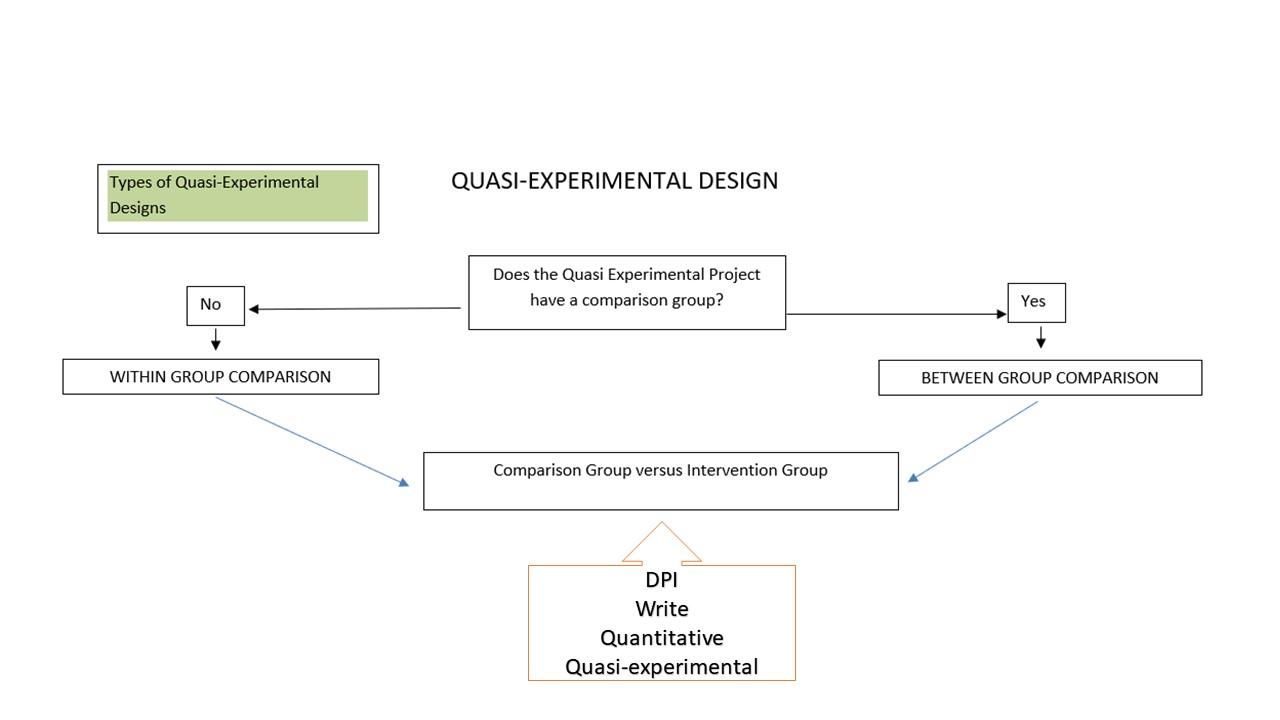 Chapter 2 of the Direct Practice Improvement (DPI) Project Proposal is ...