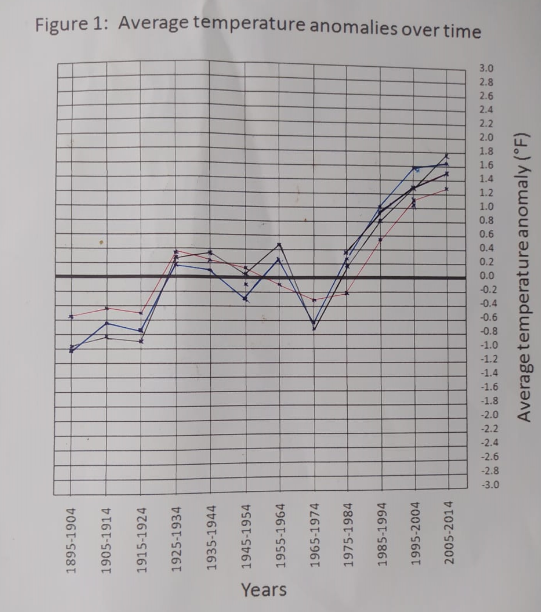 The whole assignment please 1