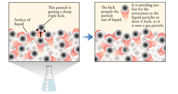 Please answer all the questions below with the right answers.  1.       At the bottom of the screen, choose Three Atoms. 2.       Under View, click the boxes so that Bond Dipoles, Molecular Dipole, an 5