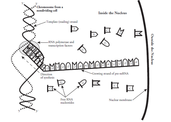 Answer the following attachment 3