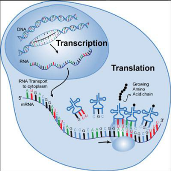 Answer the following attachment 4