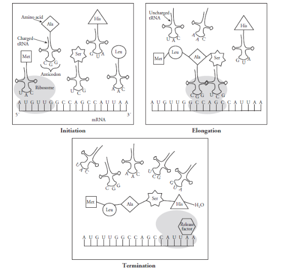 Answer the following attachment 6