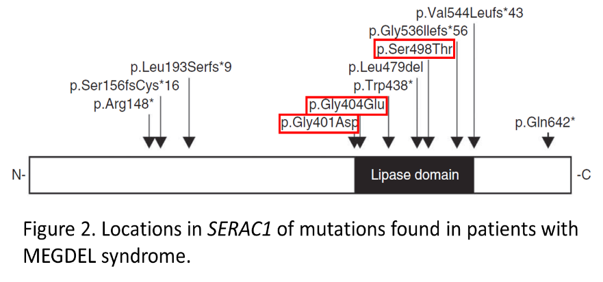 Please look at this file 2