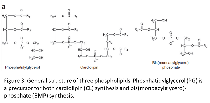 Please look at this file 3