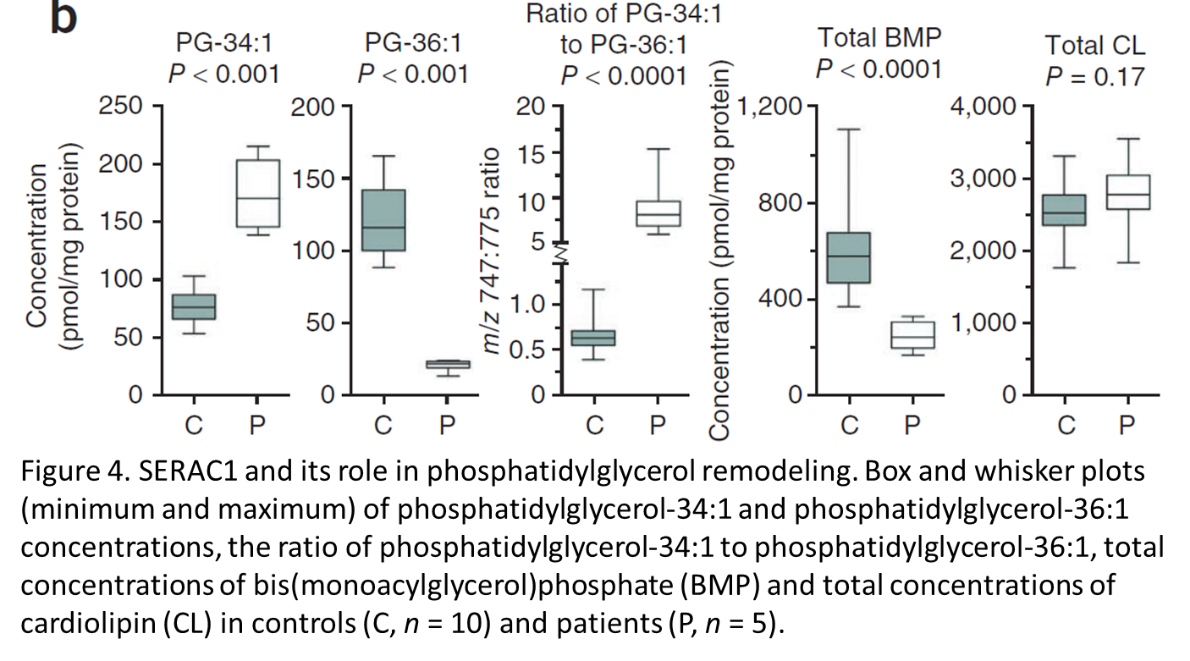 Please look at this file 4