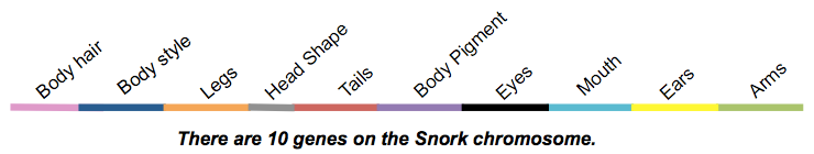 I need assistance with Lab attached 1