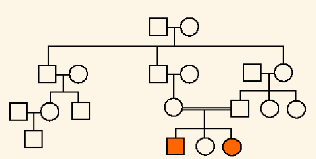 I need assistance with assignment attached. 2