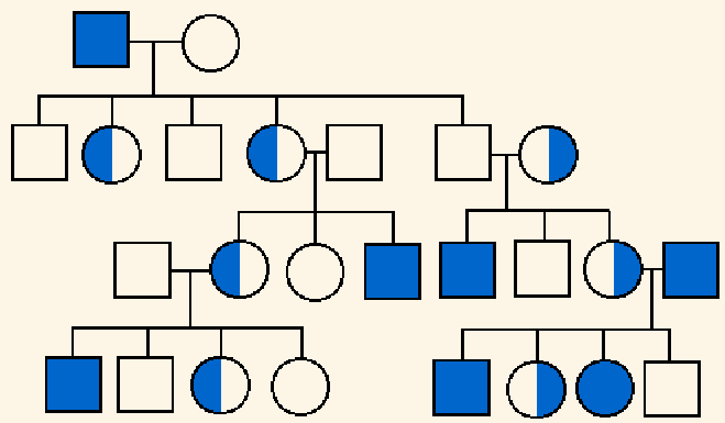 I need assistance with assignment attached. 3