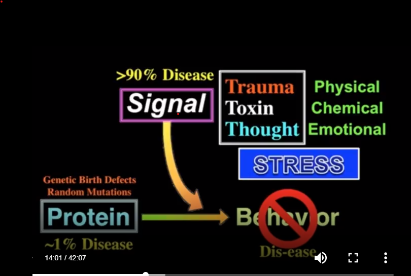 see attached file for instructions 1