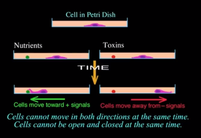 see attached file for instructions 2