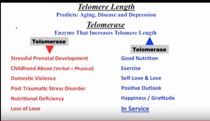 see attached file for instructions 3