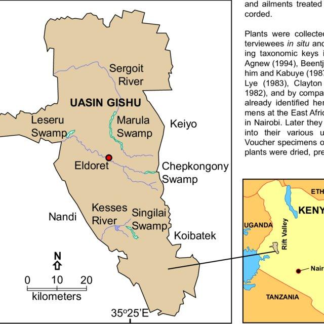 write a research paper on the issue of social economic effects on good governance with respect to the economic growth of  nation. select a case study of a nation in the third world countries and write 1