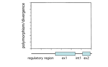 Need an expert in Genetics to help me with my population genetics course assignment. The assignment documents has been attached with 3 questions.  Also, a few other documents about sample calculations 2