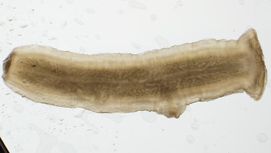 look at the files attached be sure to follow directions and make sure everything looks like the example provided below 2