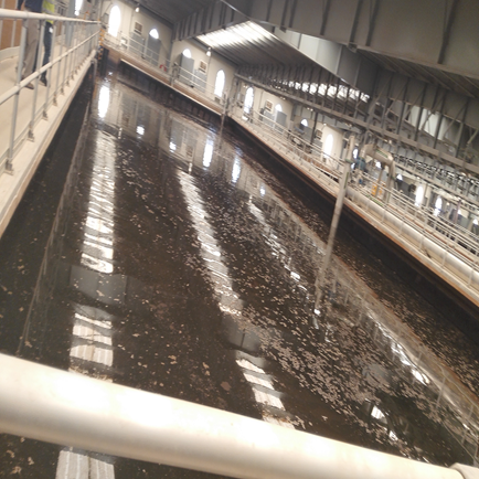 Hello I want help to do paraphrasing for CW which I uploaded.and check it if included all requirmets which are showed in instruction. files which uploaded:CW : instructioncws watertratment : need para 6