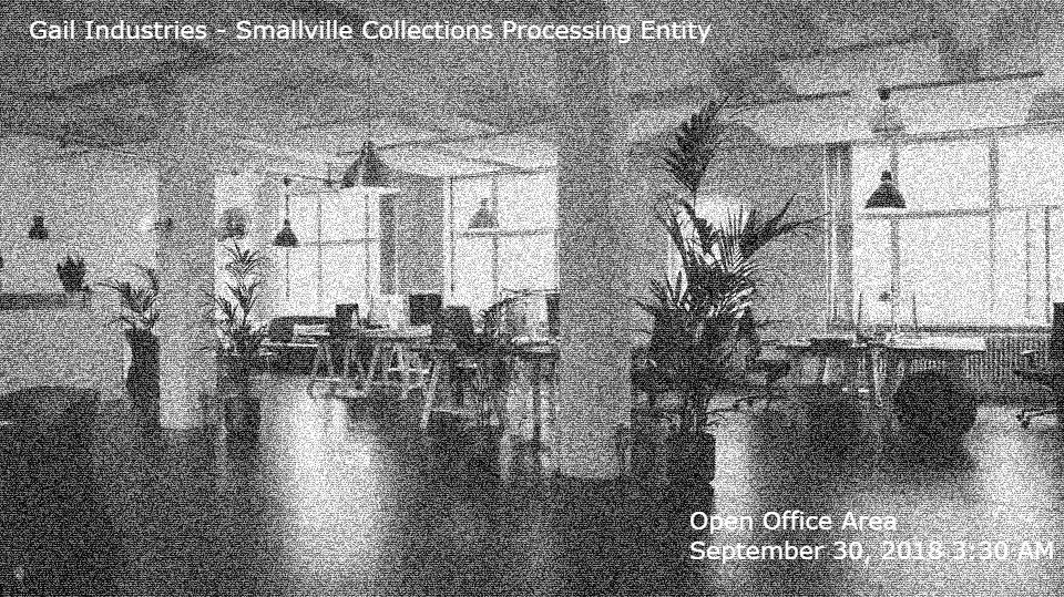 The following scenario will be used throughout all six weeks of the course.    Imagine you are an IT manager at Gail Industries. The company has a client, Smallville Collections Processing Entity (SCO 3