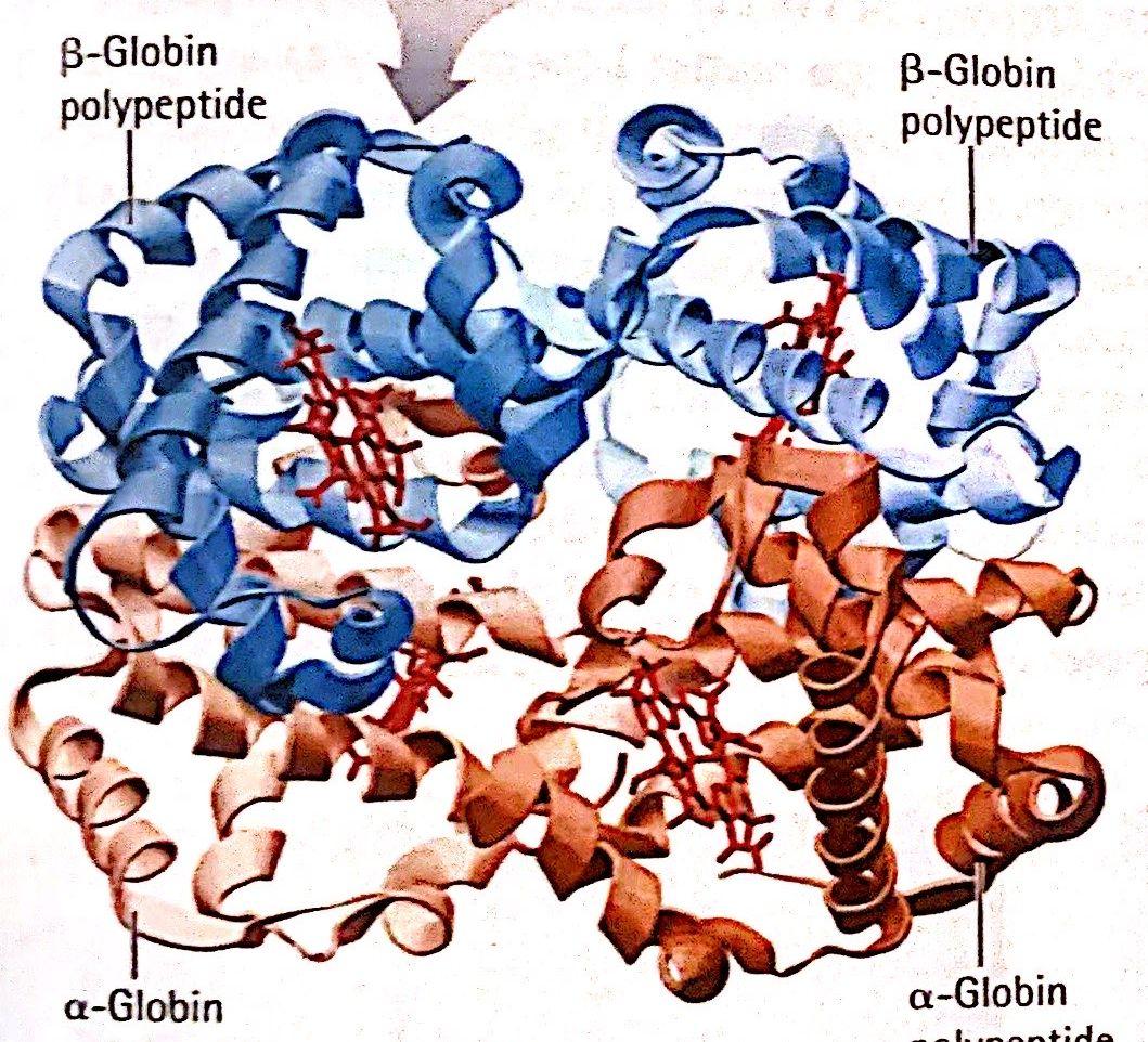 Please do outline for the 3 chapters, follow the online example. No long paragraphs. Thank you!This is three separate meals: one breakfast, one lunch, one dinner. Make sure to include all Macro and Mi 10