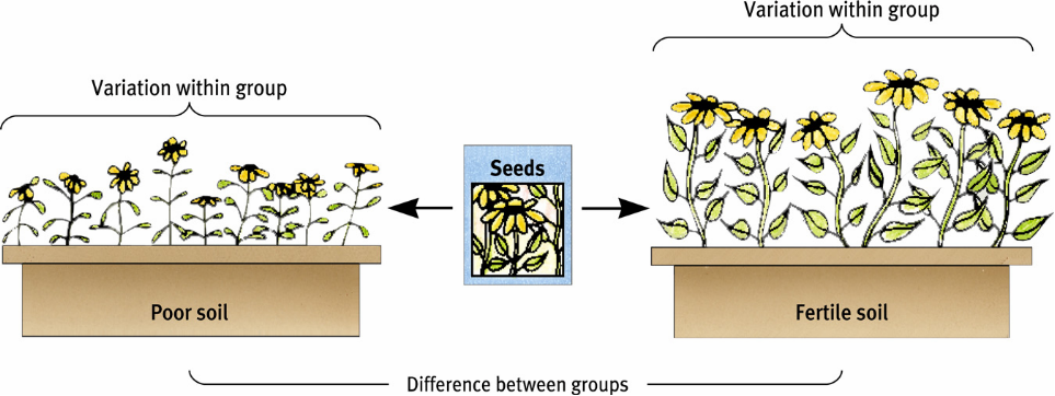 is it possible to do this essay? 1