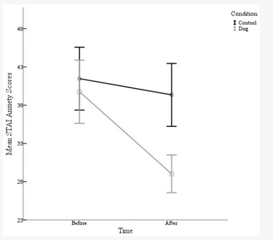 I need a Powerpoint presentation about the research topic about emotional support dogs help college students. It doesn't matter how many slides there are, but it needs to be long enough with enough st 2