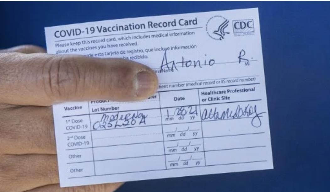 Group Project Plan Report (40 -60 pages). You will be given a feasibility study that shows that there was no suitable off-the-shelf existing software for a particular company and that the system can p 8